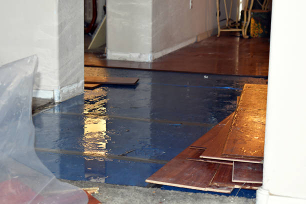 Professional Sewage Cleanup technician working in Springport, IN